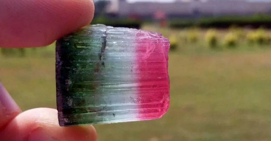 Tourmaline crystal