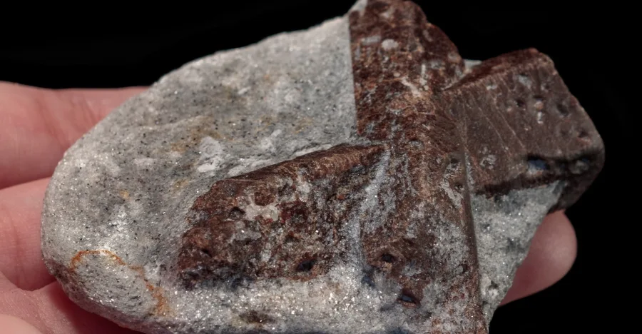 Staurolite crystal