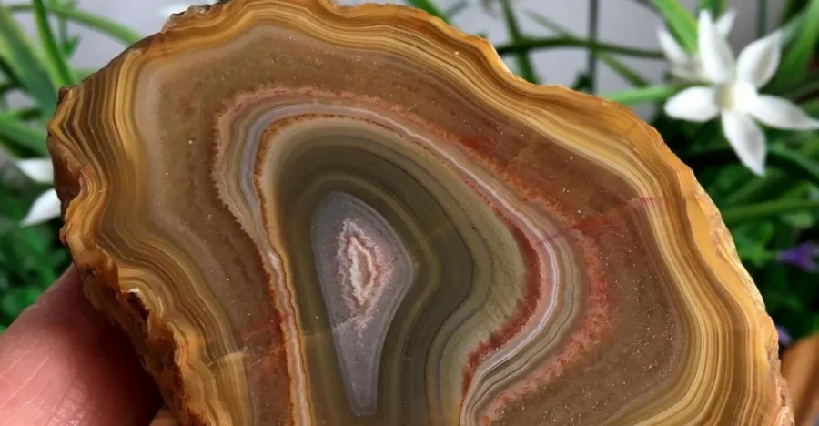 Brazilian Agate crystal