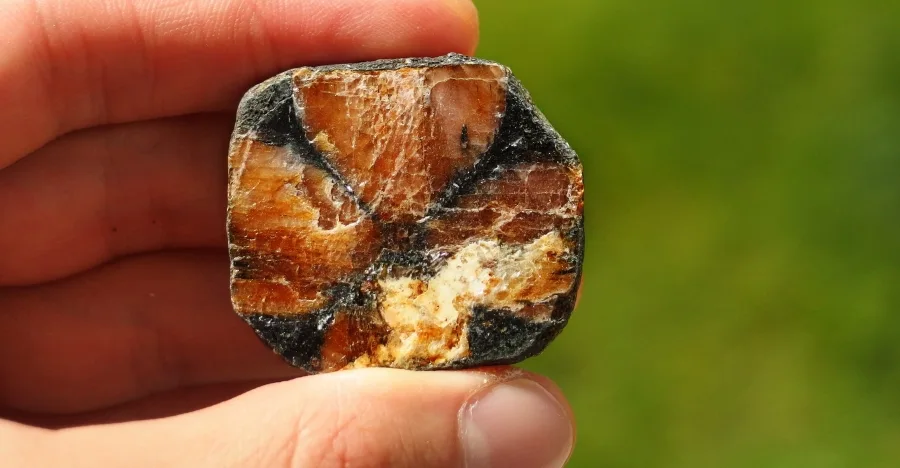 Chiastolite (Andalusite) crystal