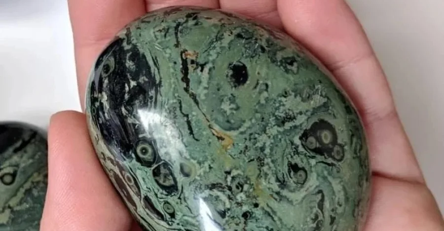 Kambaba Jasper crystal