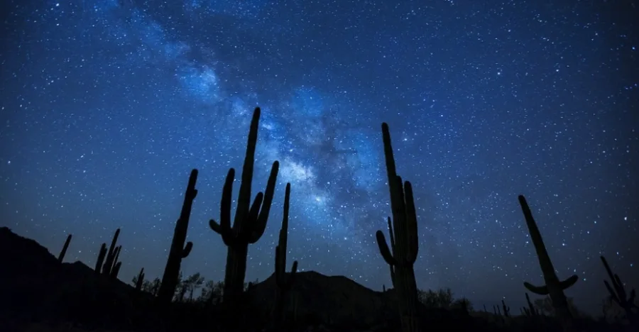 The Night Desert (Baja, Mexico) crystal