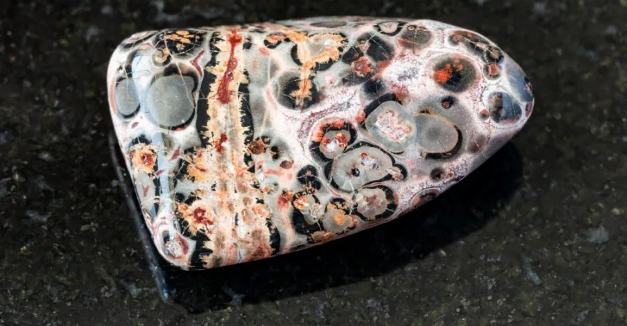 Leopard Skin Jasper crystal